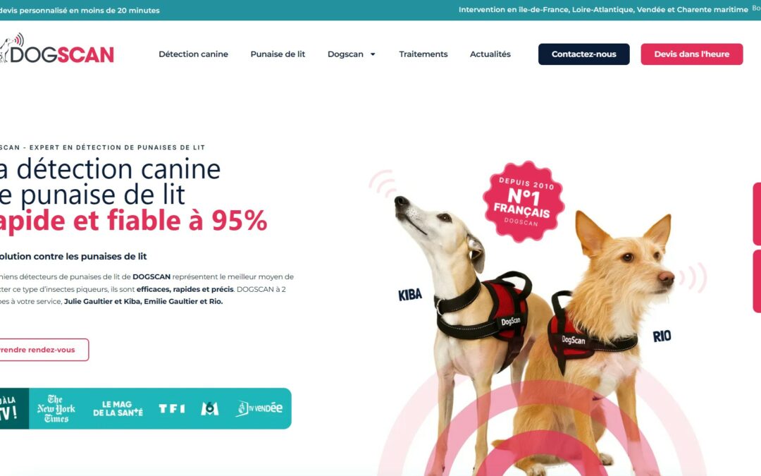 Détection de punaises de lit