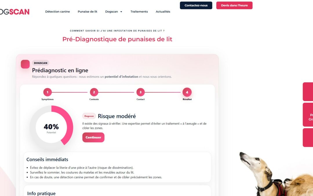 Diagnostic en ligne